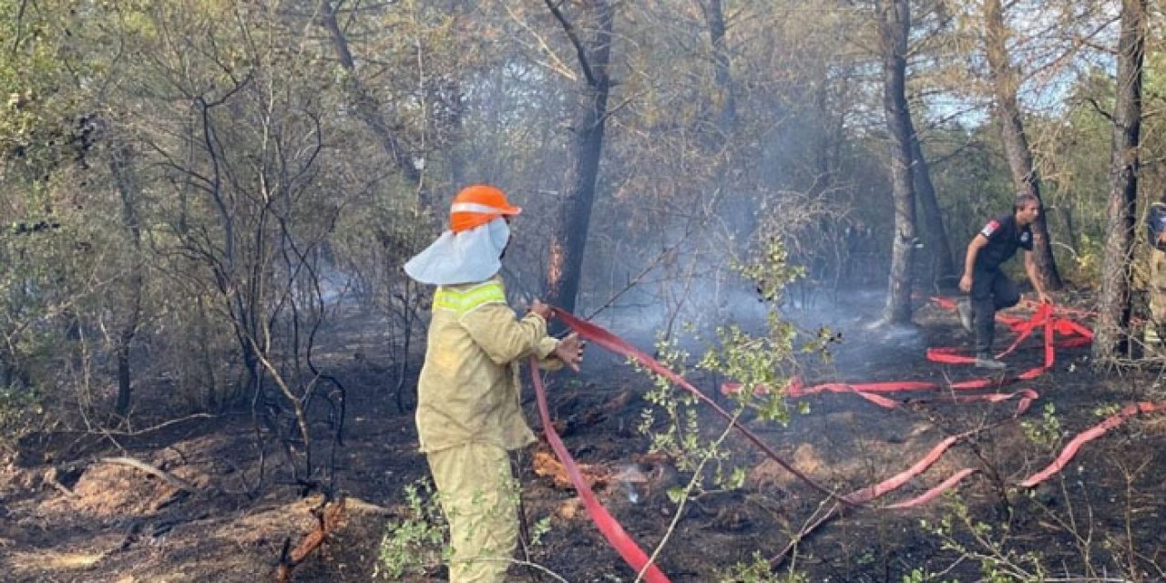 Silivri'de orman yangını