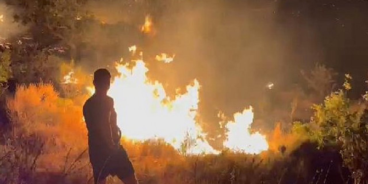 Marmara Adası'nda maki yangını kontrol altında