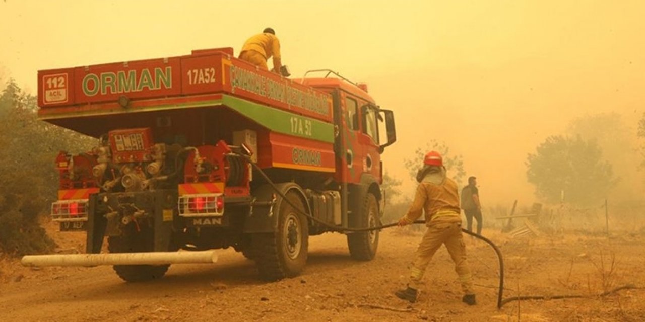 Çanakkale'de orman yangını
