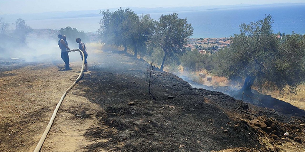 Kaz dağları alev alev yandı