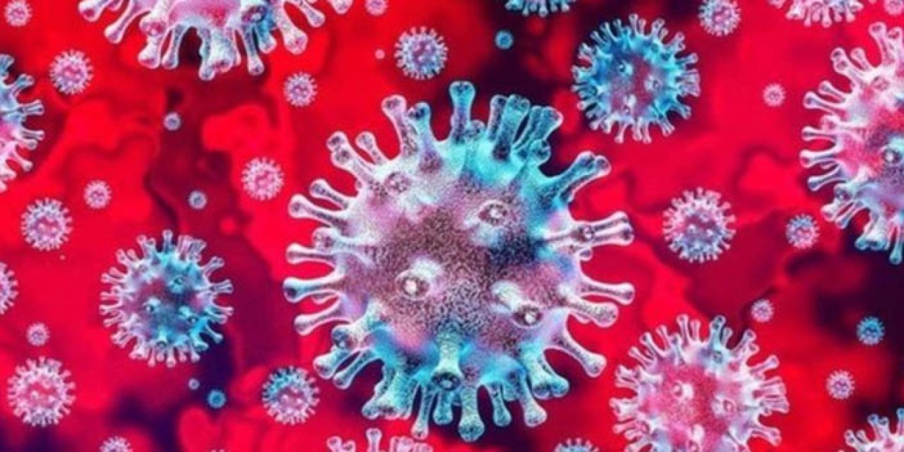 Eris virüsü nedir, belirtileri nelerdir? Eris virüsü ölümcül mü?