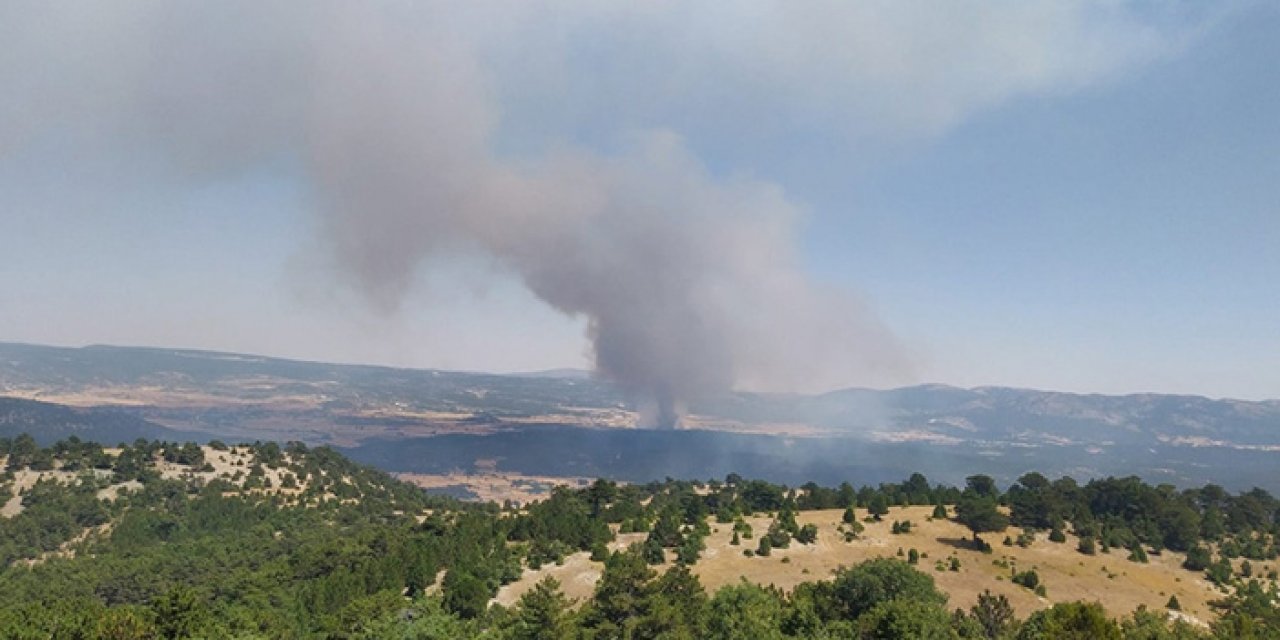 Eskişehir’de orman yangını: Ekipler sahada