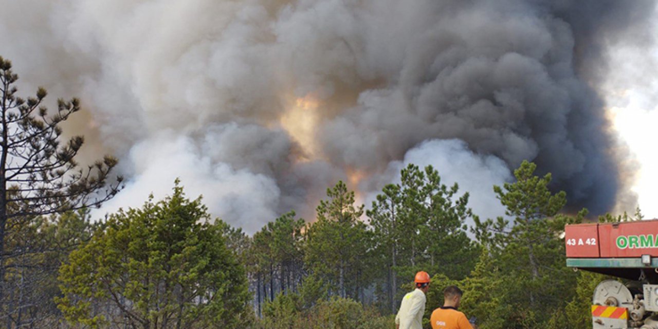 Ormanlık alanda çıkan yangına müdahale sürüyor