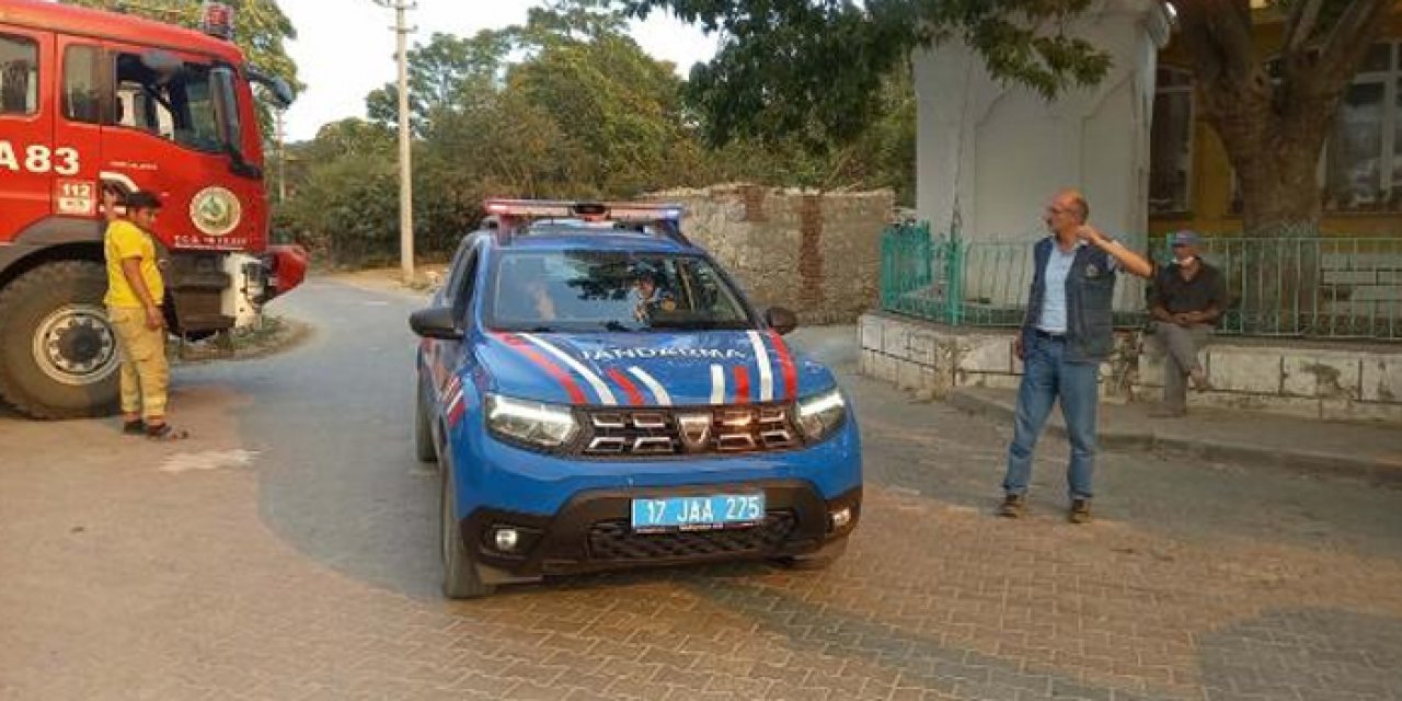 Çanakkale'deki orman yangını 2 gündür devam ediyor