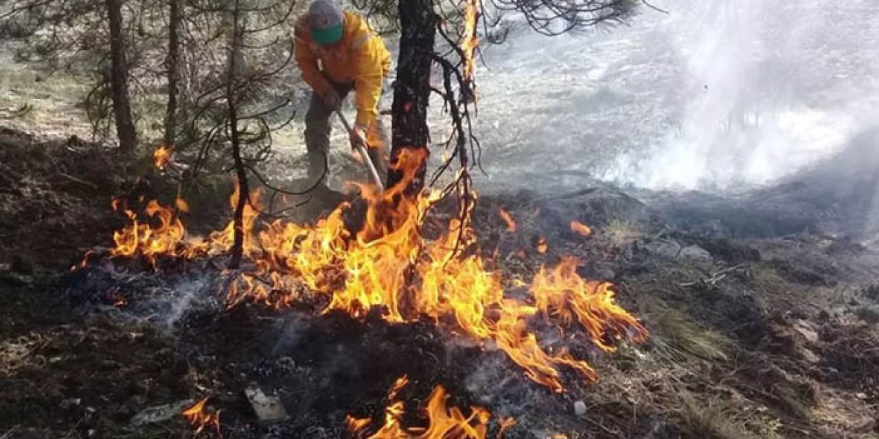 Çanakkale'deki orman yangını kontrol altına alındı