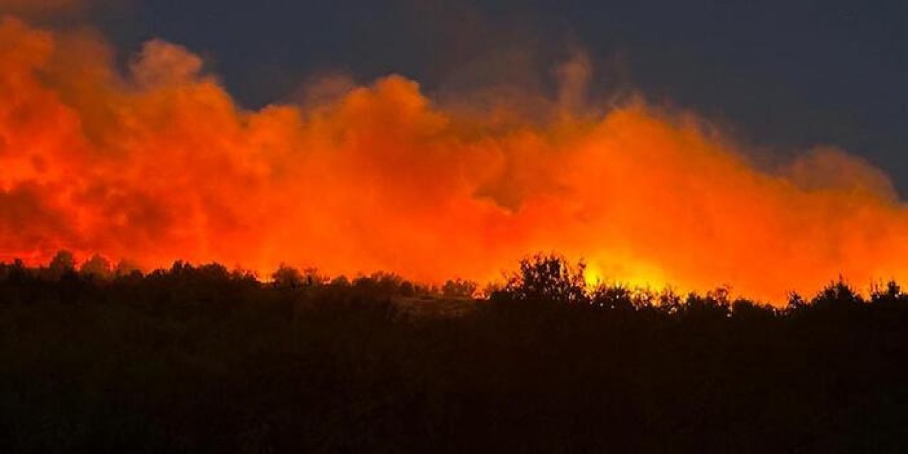 Diyarbakır’da orman yangını başladı