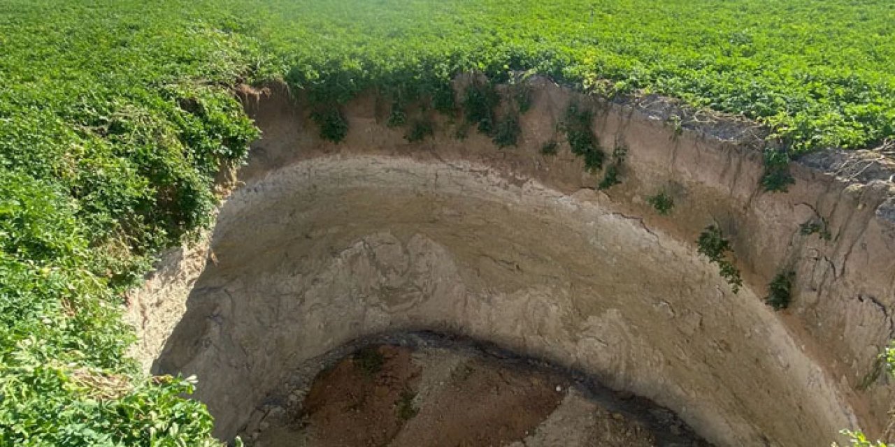İşçiler tarlada korkunç manzarayla karşılaştı