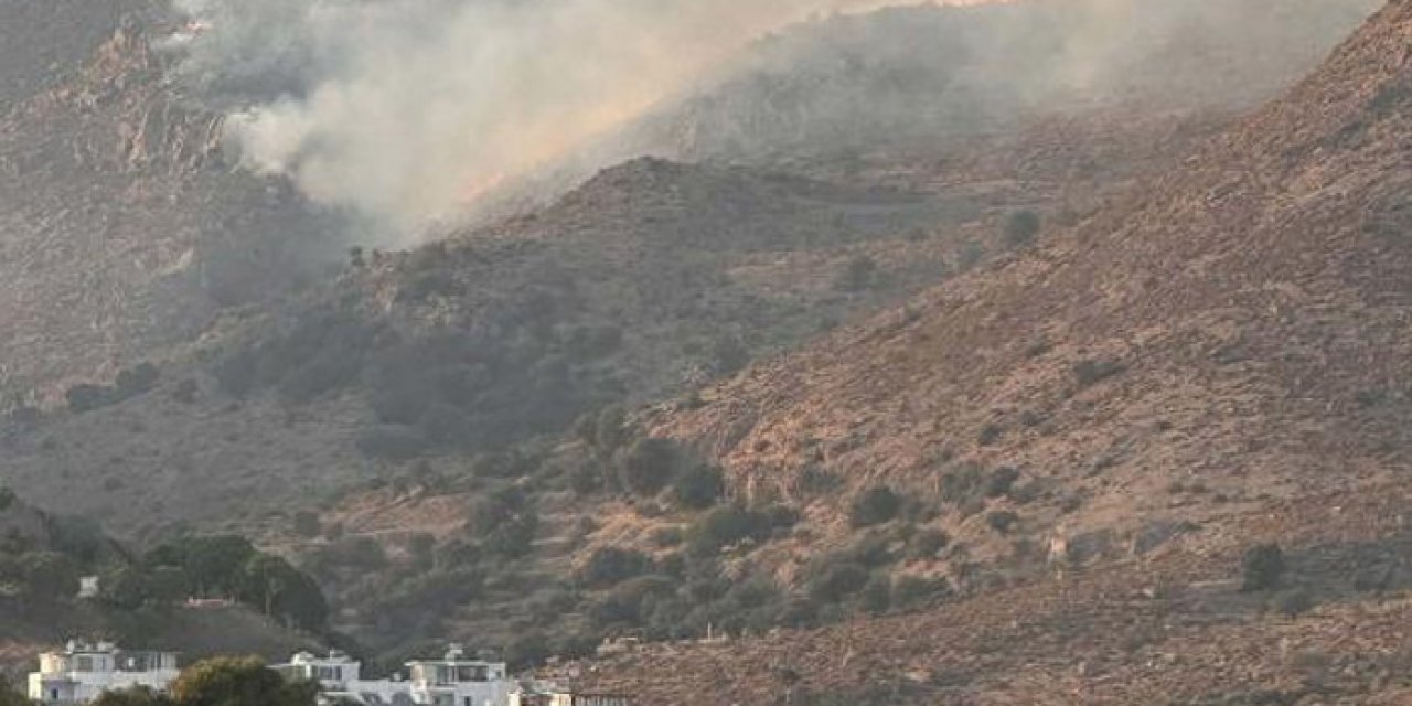 Bodrum'da korkutan maki yangını