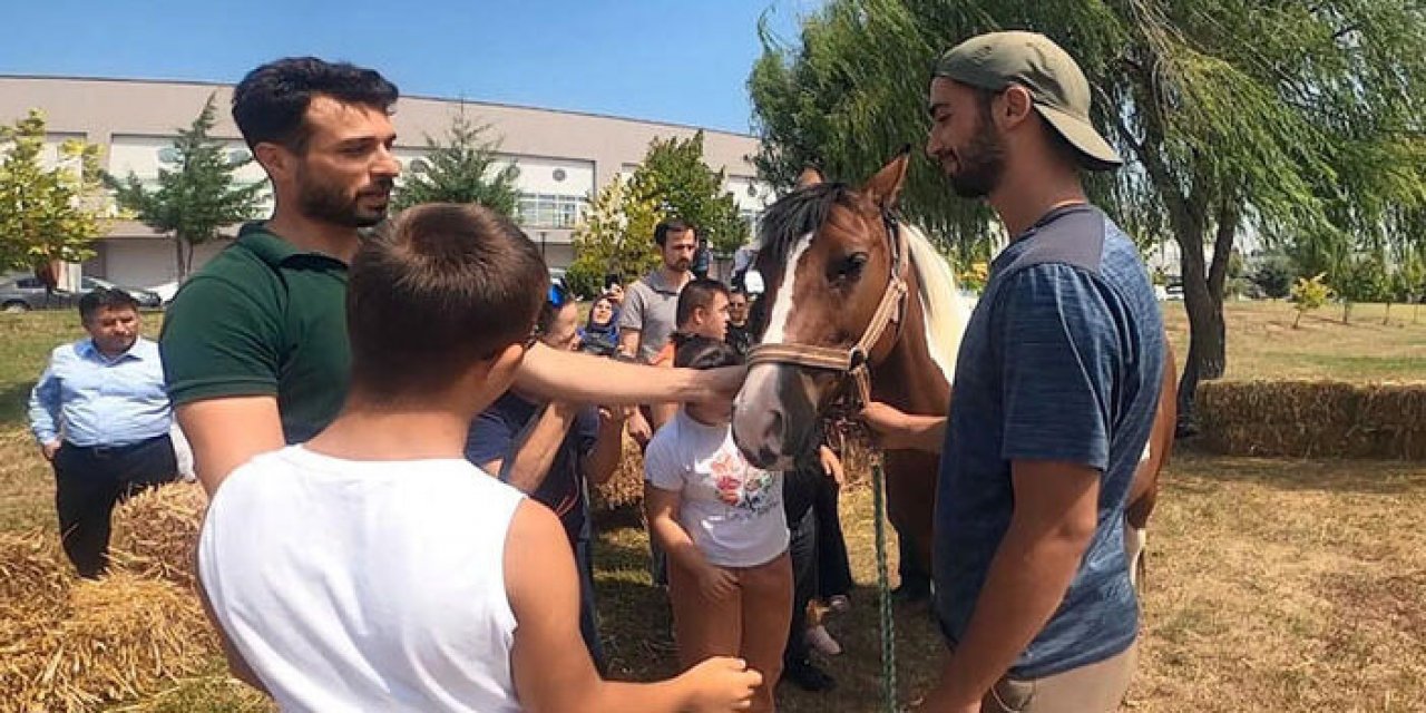 Down sendromlu çocuklara atlı terapi