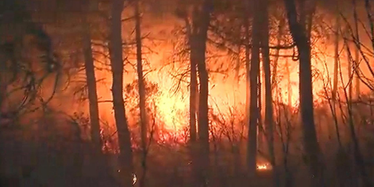 İstanbul'da orman yangını