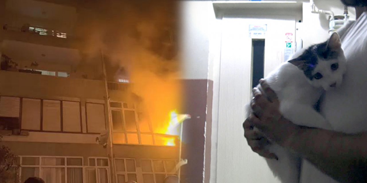 İstanbul’da yangın: Kadın ve kedisi son anda kurtarıldı
