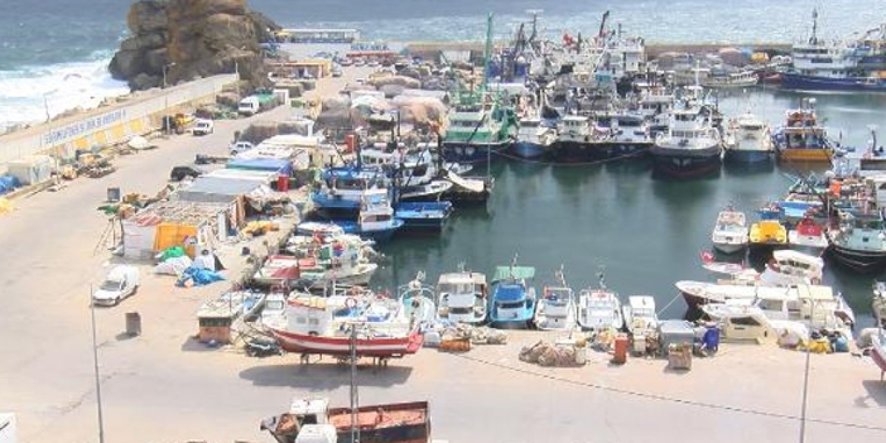 Balıkçılar 1 Eylül'ü iple çekiyor: Hamsi bol, palamut yok