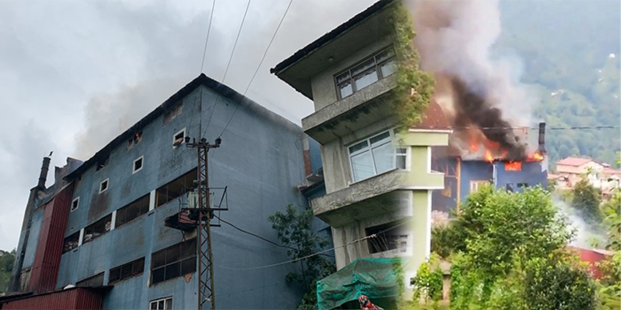 Çay fabrikasında yangın