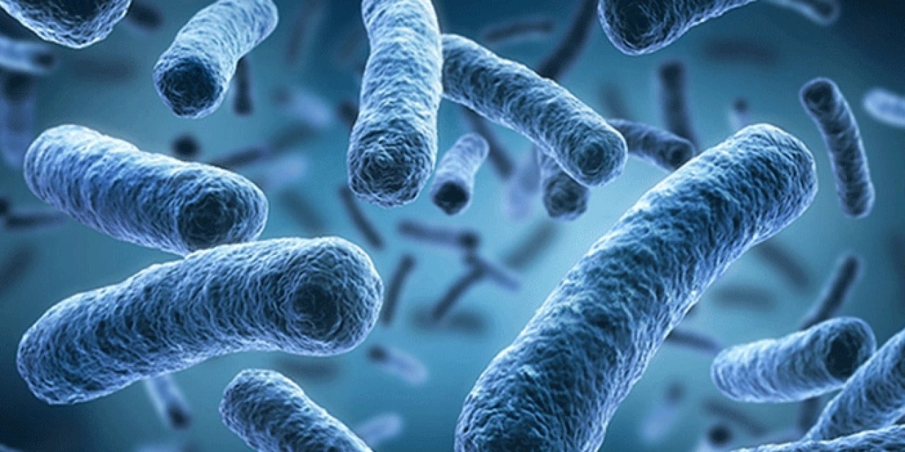 Lejyonella bakterisi salgını yayılıyor: Ölenlerin sayısı yükseliyor