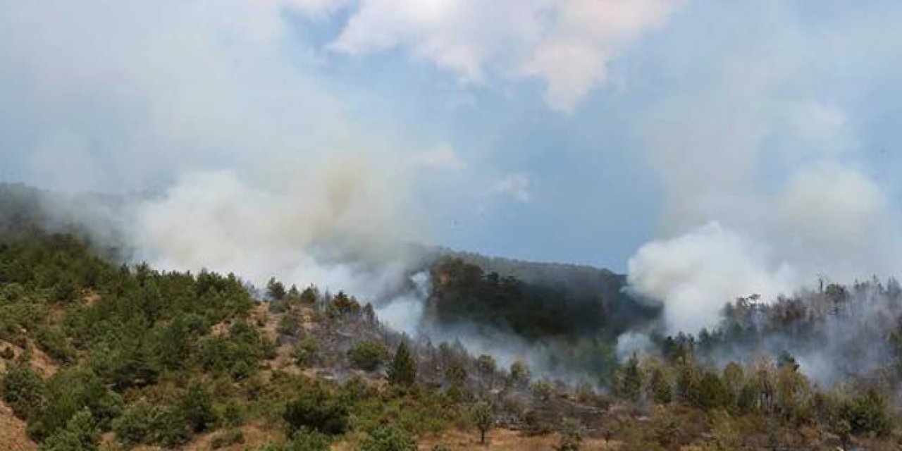 Çankırı'da orman yangını kontrol altında
