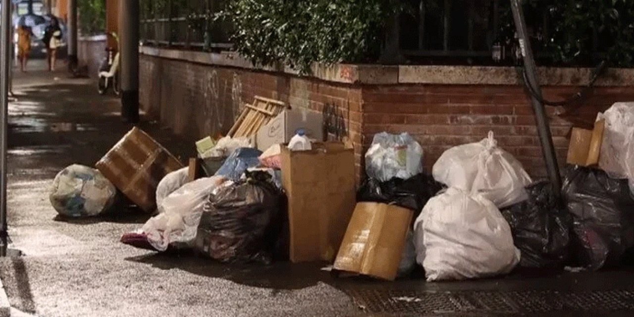 Roma'da milyonlarca fare şehri istila etti