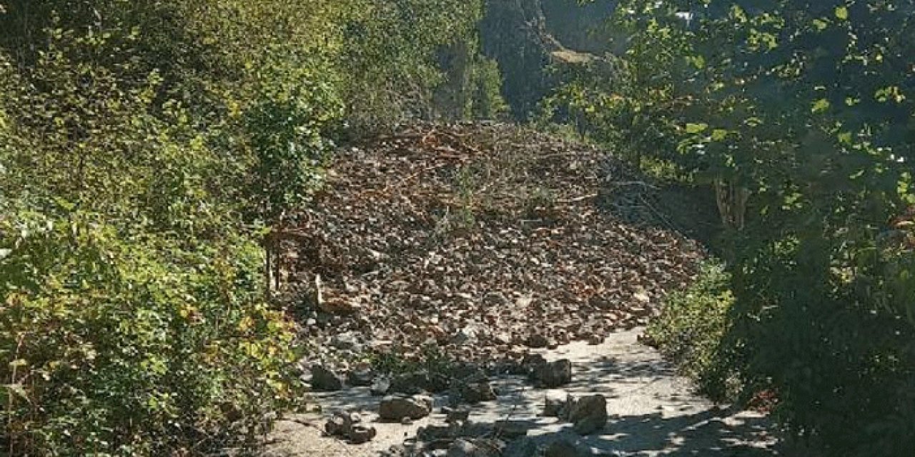 Artvin'de heyelan: 8 köy yolu ulaşıma kapandı