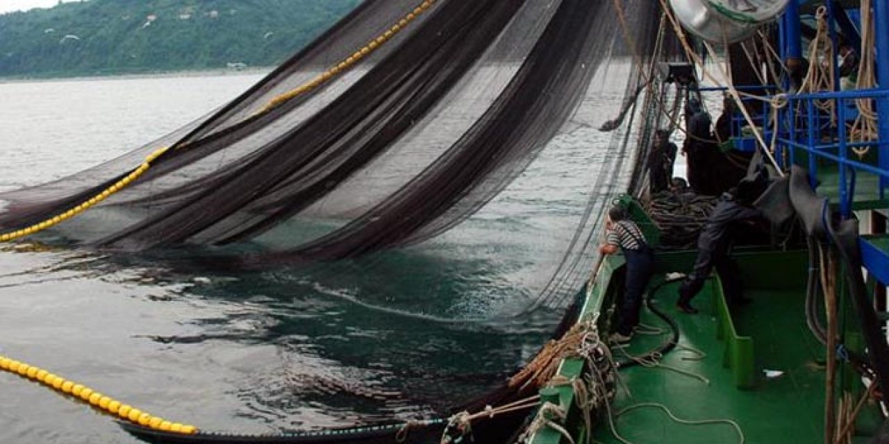 Balık sezonuna sayılır günler kaldı! İşte son durum