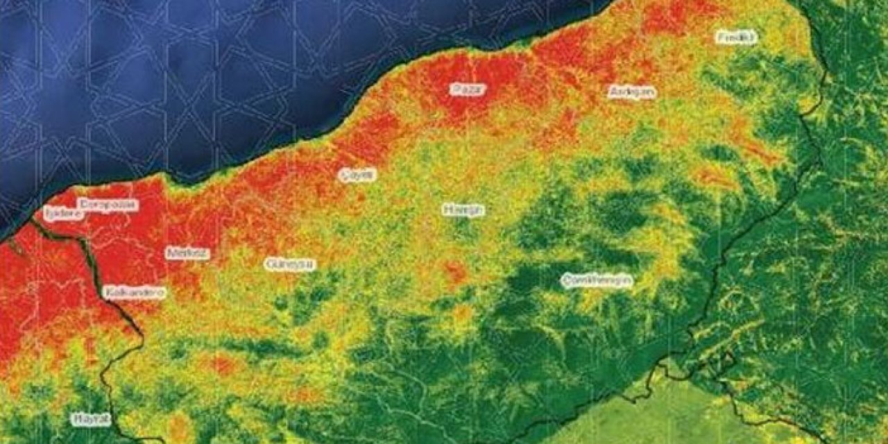 Heyelanların en önemli sebebi ağaç kesimi