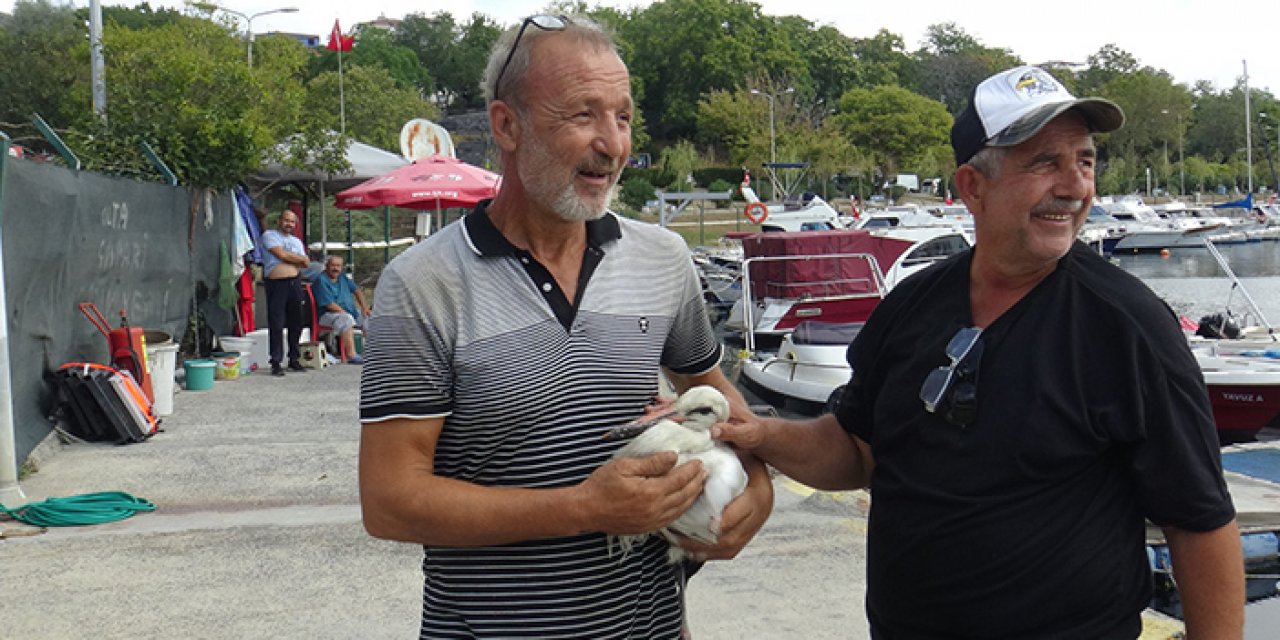 Yaralı leyleğe balıkçılardan yardım eli