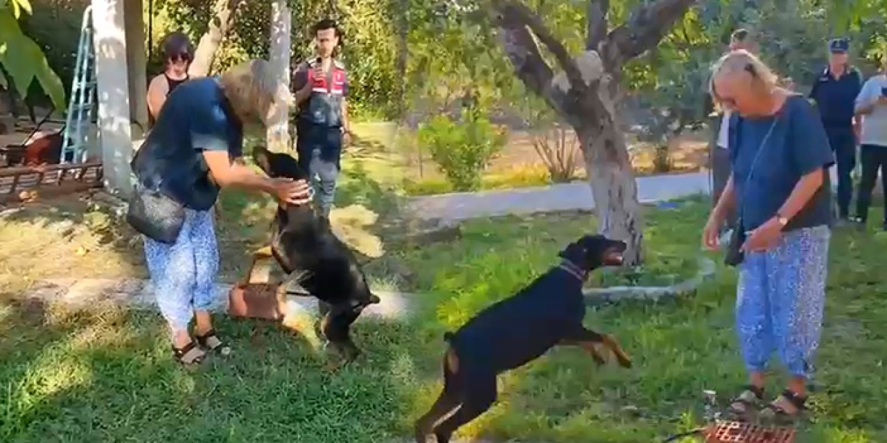 Berzeg’in köpeği Tine, Angela Berzeg ile buluştu