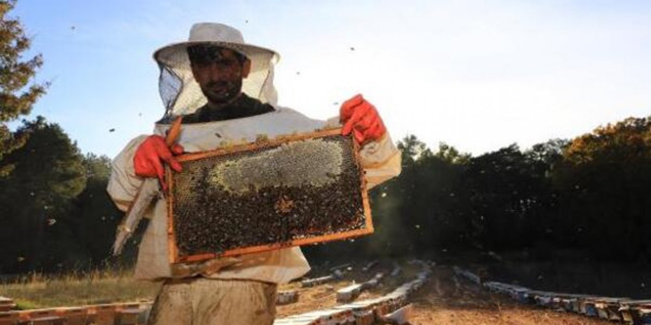 'Temiz Petek Projesi' başlatıldı