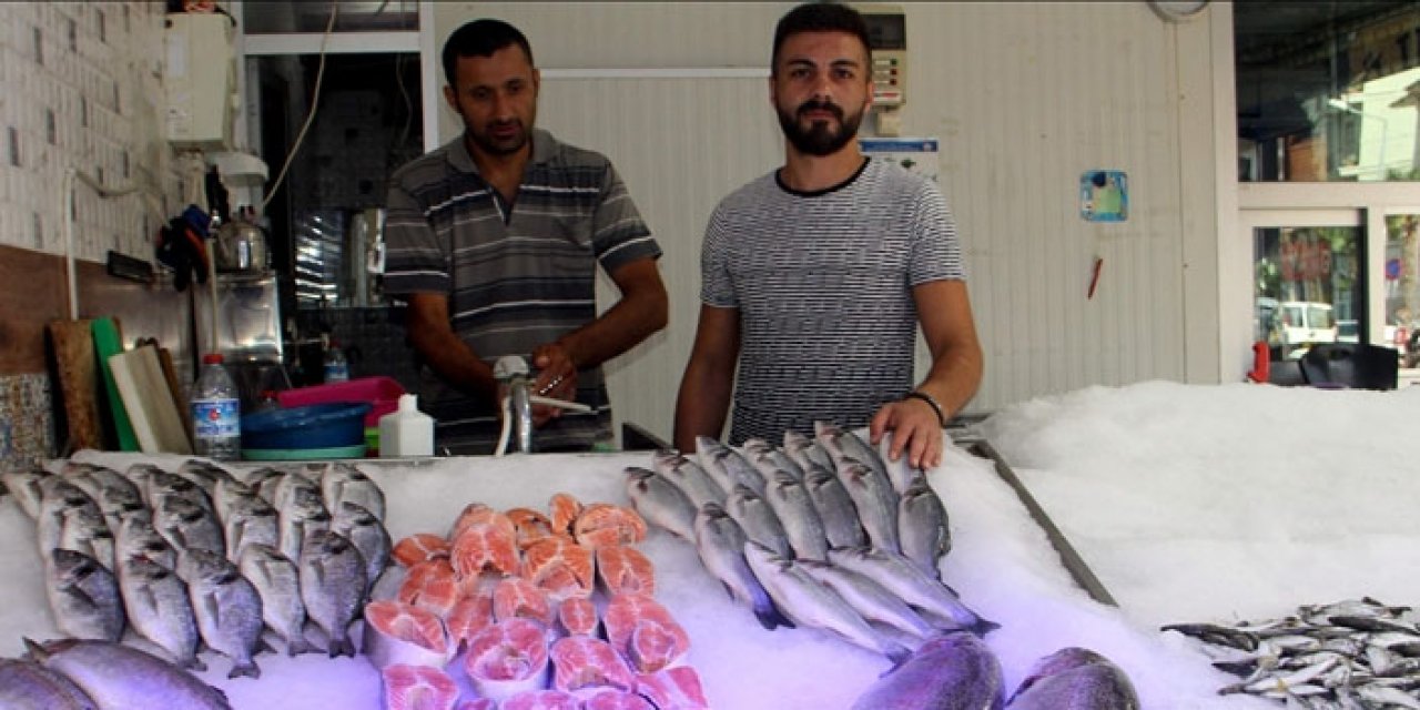 Sinop'ta balıkçılar avdan boş döndü