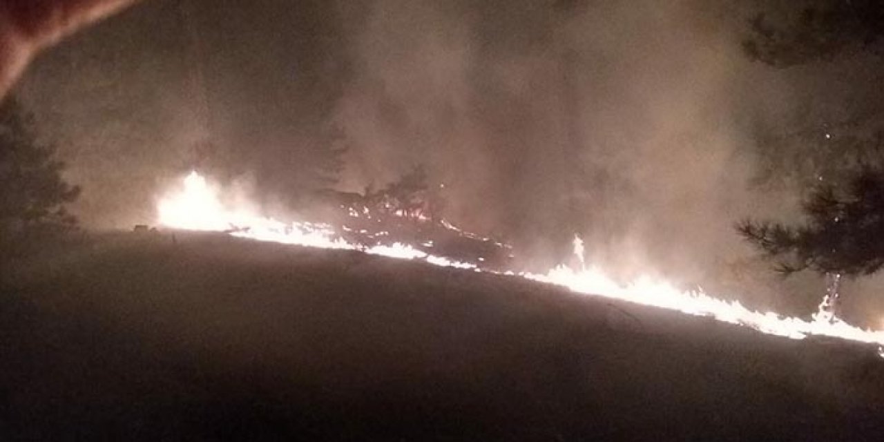 Muğla’da 3 hektar alan küle döndü