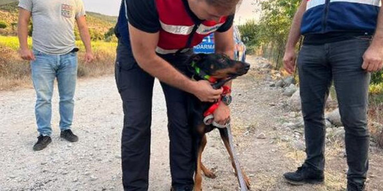 Korhan Berzeg'i arayan Tina eve geri döndü