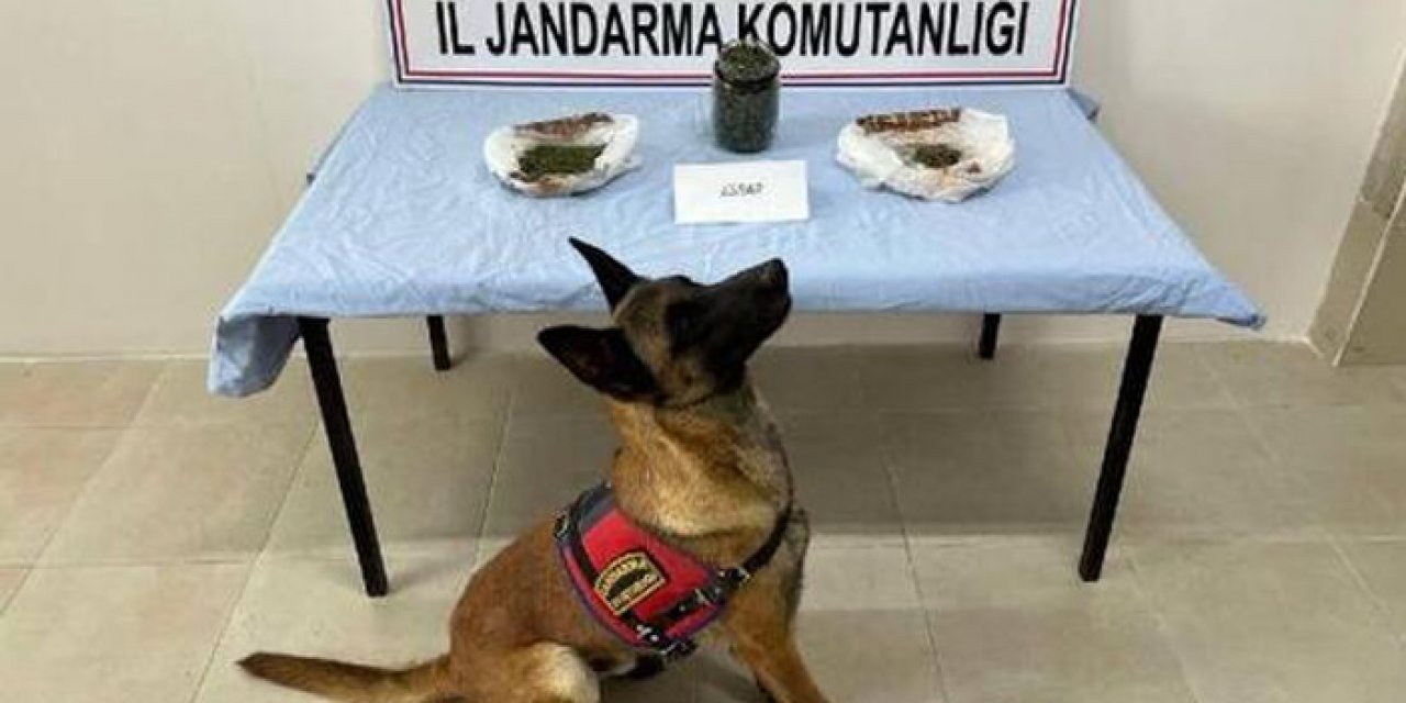 Evinde uyuşturucu üretip satan kişi yakalandı