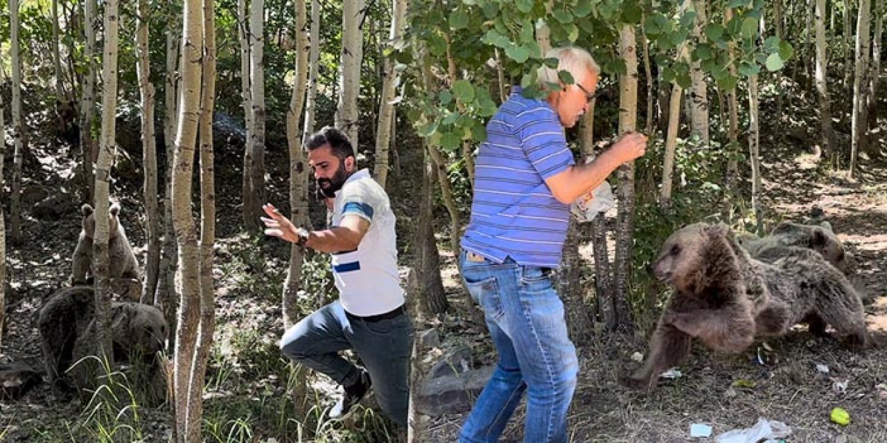 Nemrut Kalderası'ndaki boz ayıları elinizle beslemeyin uyarısı