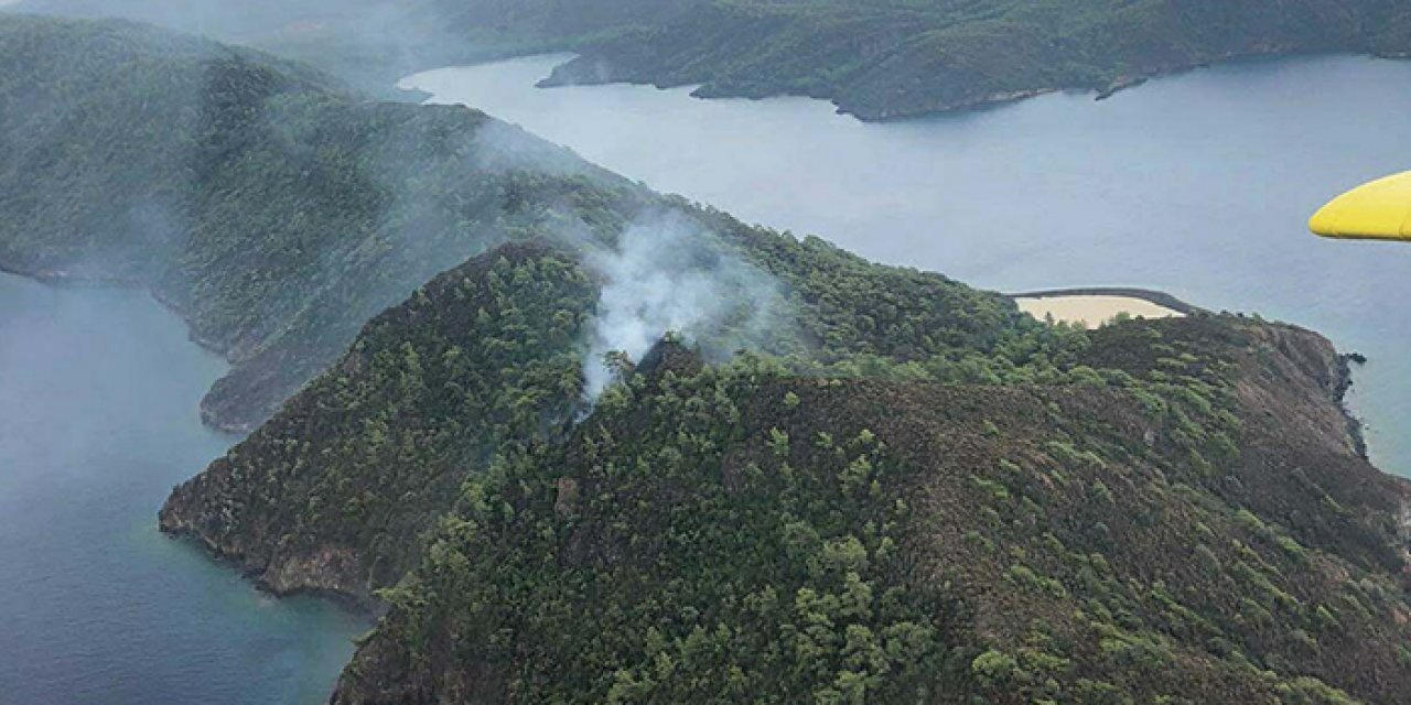 Yıldırım düşmesi sonucu orman yangını çıktı