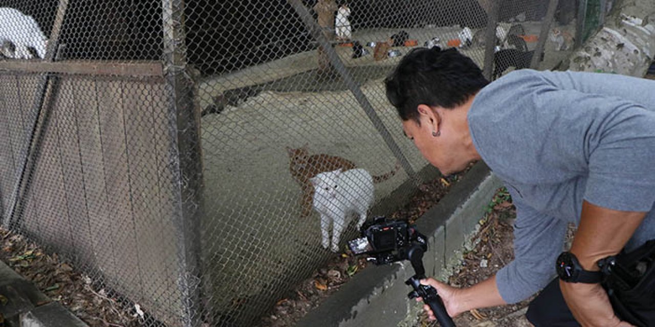Samsun’un kedi kasabası Tayland’da belgesel oluyor