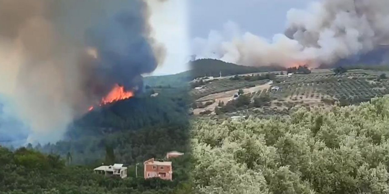 Bursa'da korkutan yangın