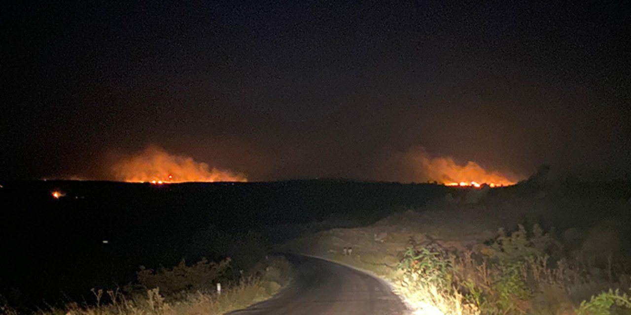 Sınırda orman yangını