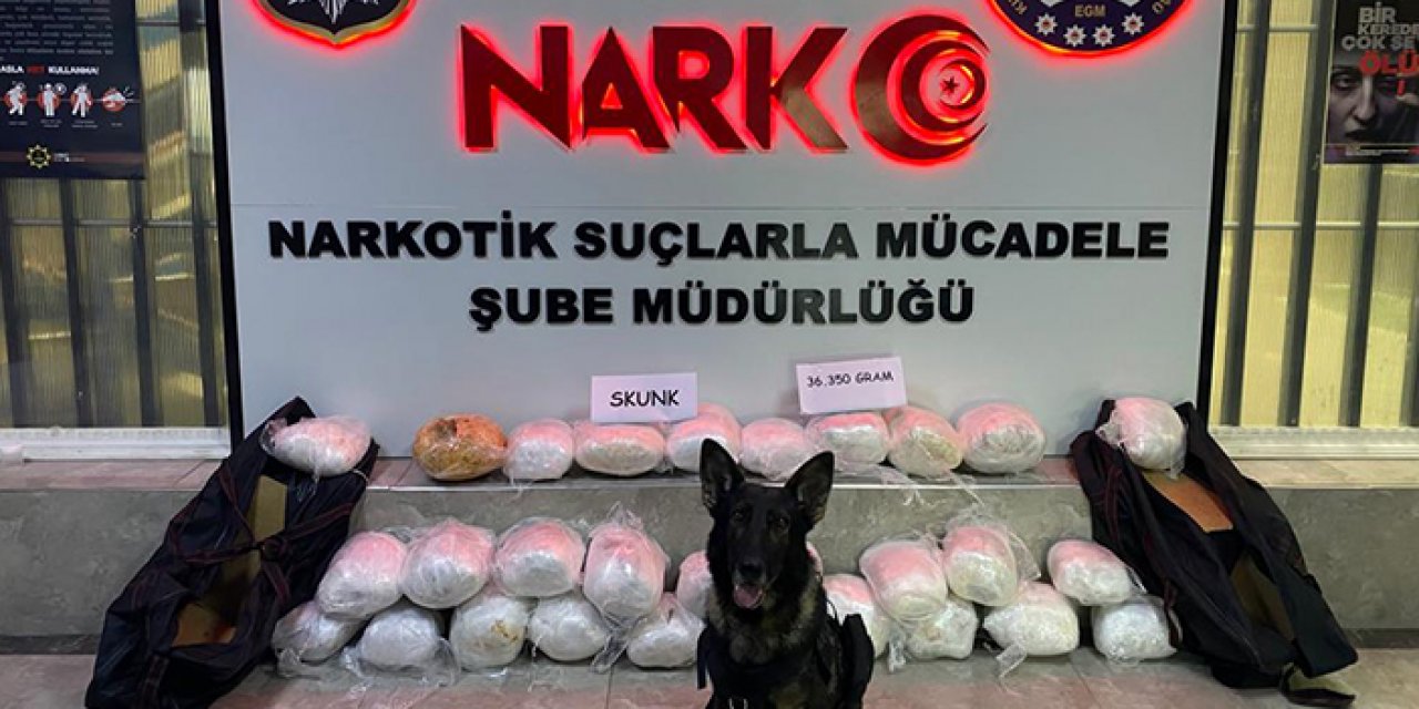 Cipin bagajından 36 kilo uyuşturucu çıktı