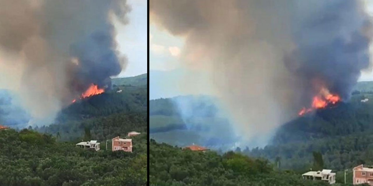 Orman yangını sürüyor: Havadan ve karadan müdahale ediliyor