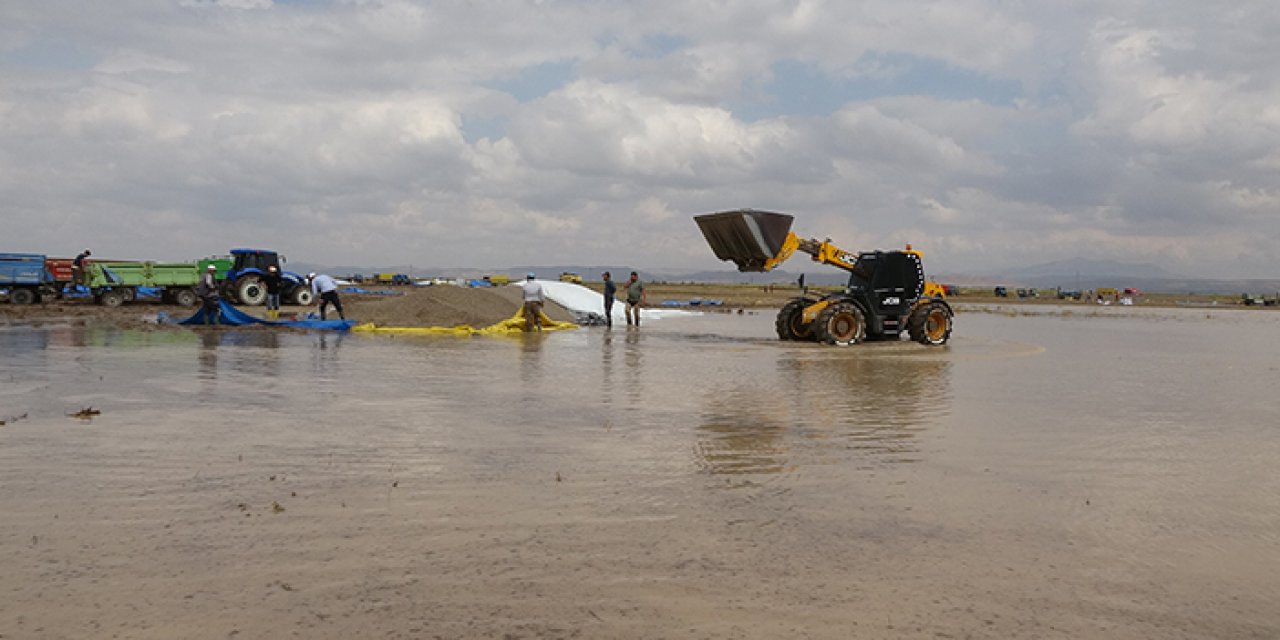 Aksaray'da dolu ayçiçeğini vurdu