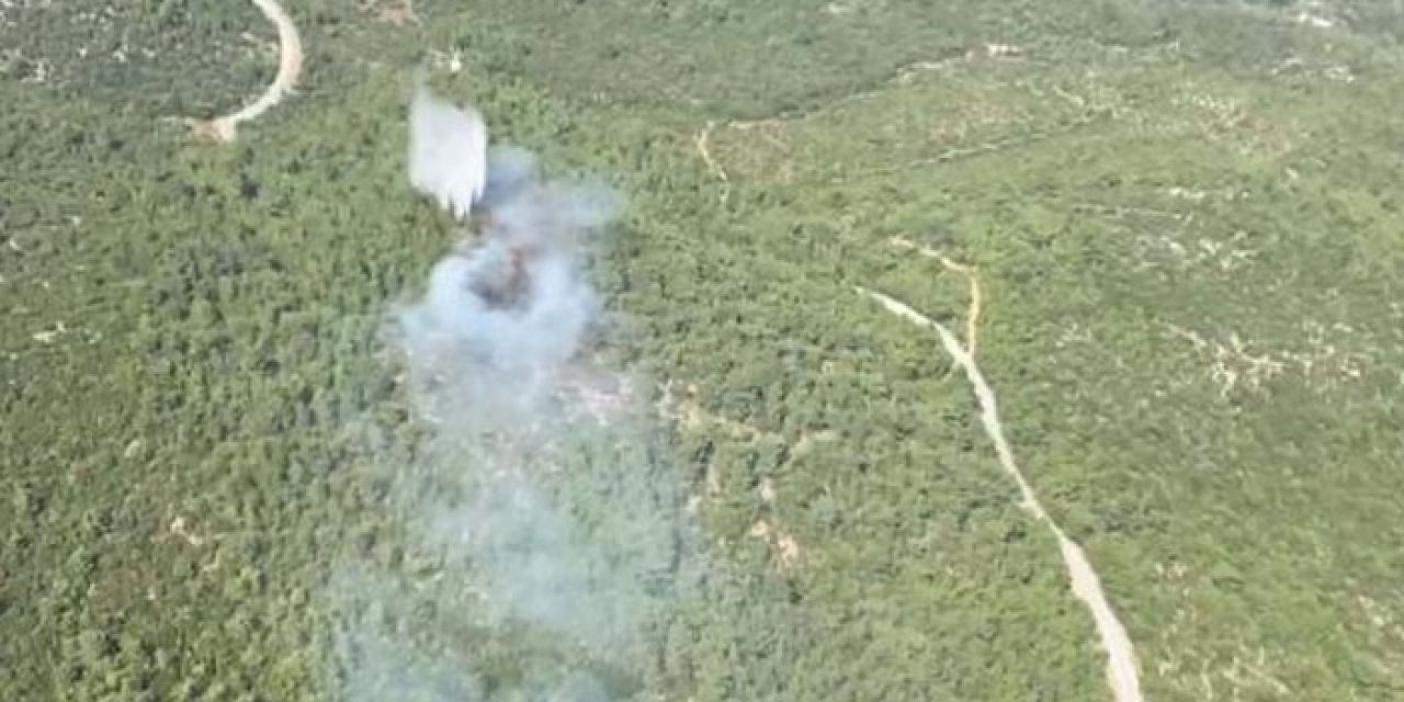 İzmir'de orman yangını kontrol altına alındı