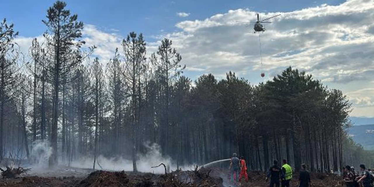 50 orman işçisi görev aldı
