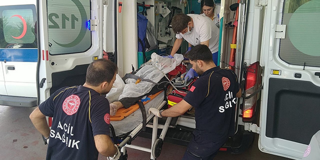 Ağaçtan düşen adamın vücuduna dal saplandı; yaşamını yitirdi