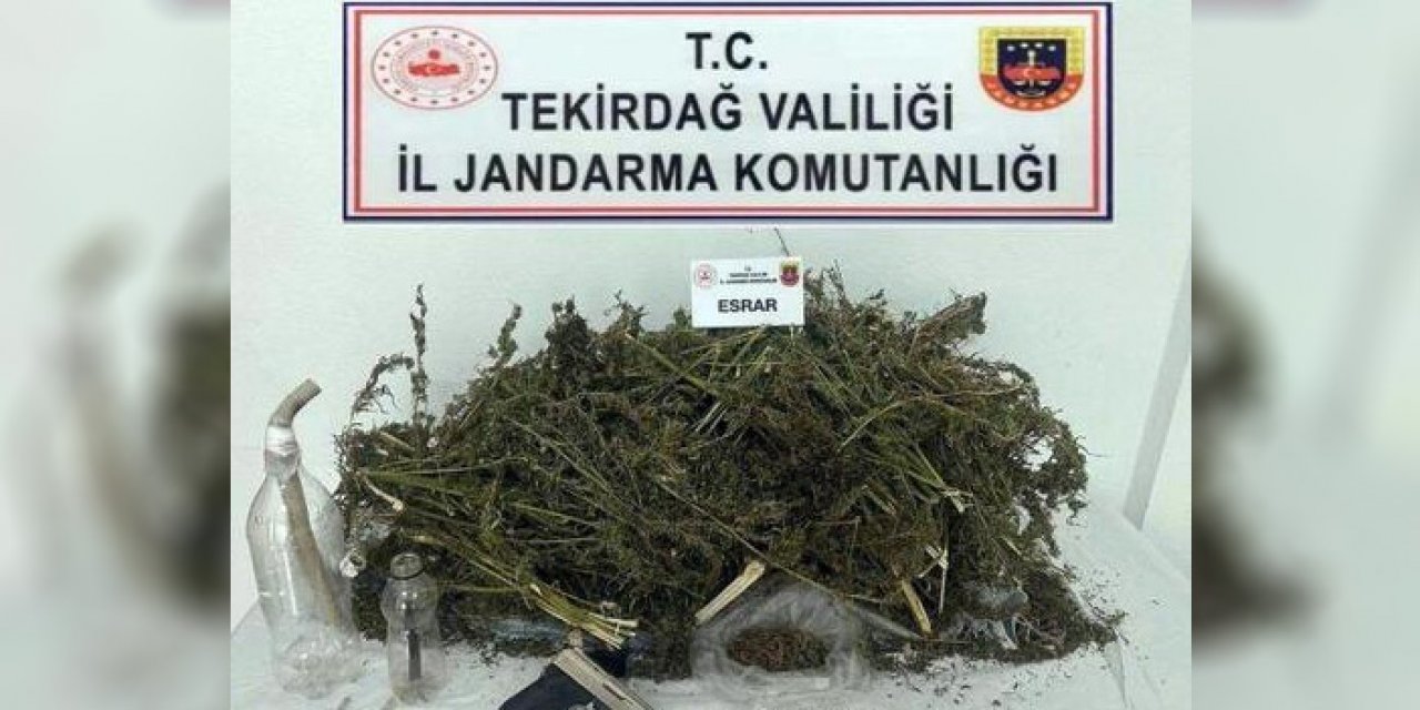 3 kilo esrar ve bonzai ele geçirildi