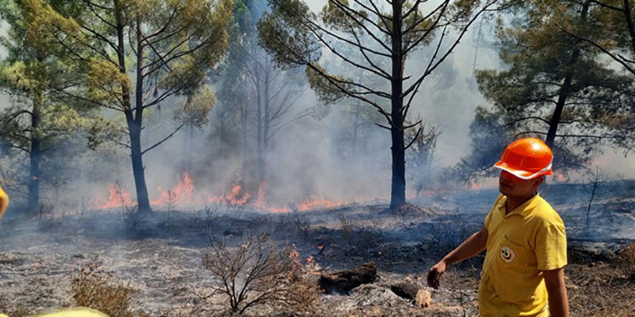 Yıldırımlar nedeniyle 1 günde 36 yangın çıktı