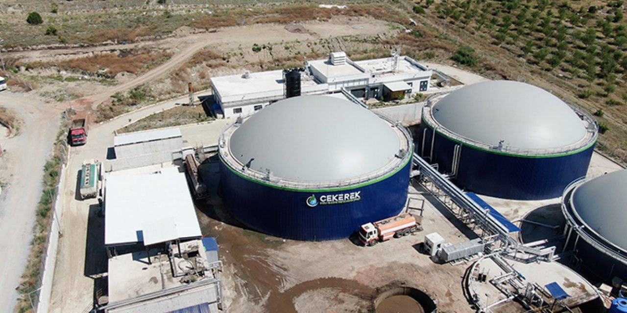 Hayvan dışkısından elektrik ve organik gübre