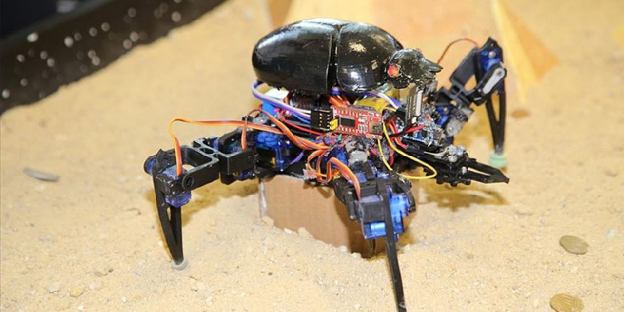 15. Uluslararası MEB Robot Yarışması yarın düzenlenecek