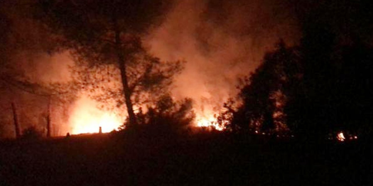 İmamoğlu'nda çıkan orman yangın kontrol altında