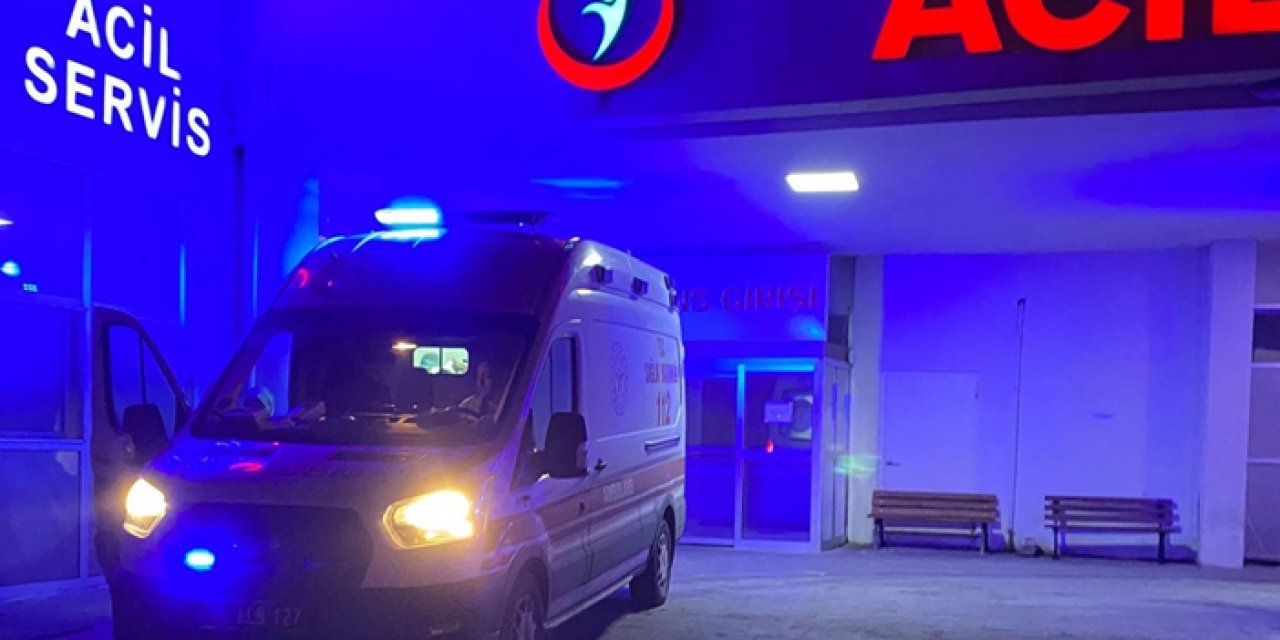 Hayvan otlatırken ayı saldırdı: Ağır yaralandı