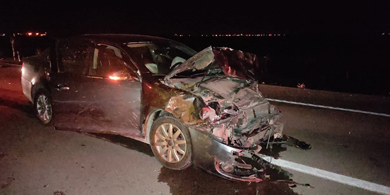 Koyun sürüsüne otomobil çarptı: 15 hayvan telef oldu