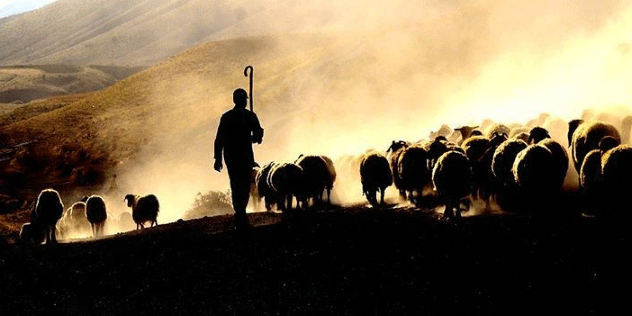 Karaman'da çoban arazide ölü bulundu