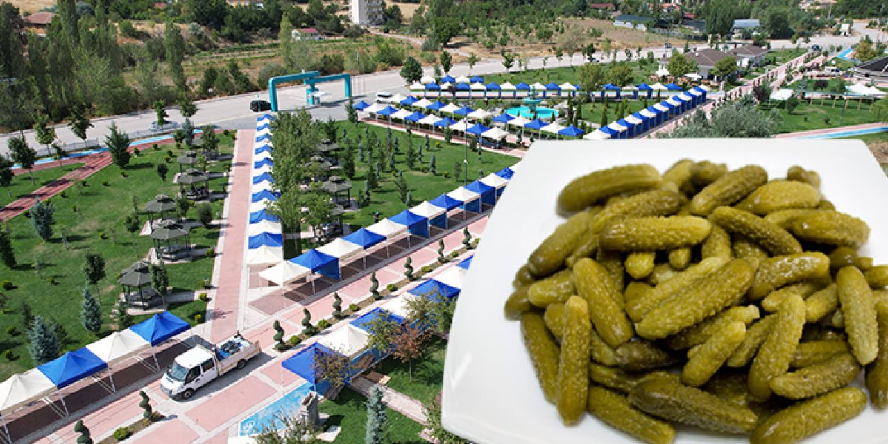 16'ncı  Uluslararası Çubuk Turşu ve Kültür Festivali başlıyor: 4 gün sürecek